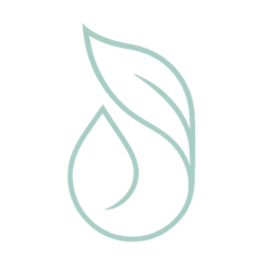 Logo de Solivence, institut de beauté haut de gamme spécialisé en facialisme et spa du cheveu